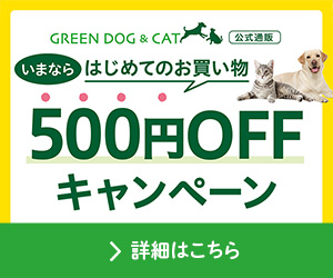 犬が必要とする優先順位③（3回シリーズ）