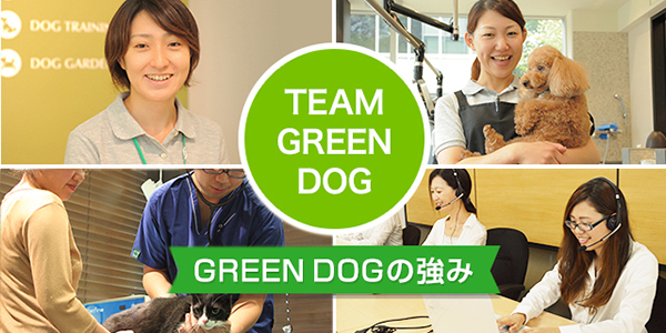 TEAM GREEN DOG