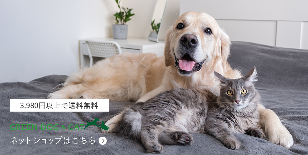 3,980円以上で送料無料 GREEN DOG & CAT(グリーンドッグ & キャット)ネットショップはこちら