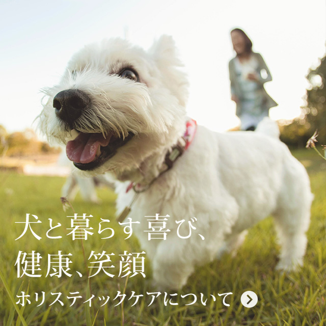 犬と暮らす喜び、健康、笑顔 ホリスティックケアについて
