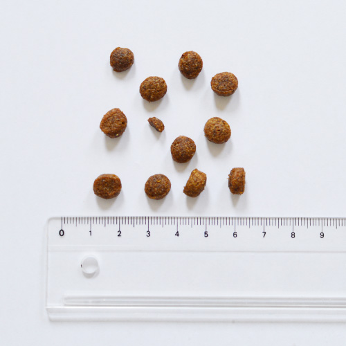 FORZA10（フォルツァディエチ）デイリープロ　アダルトミニ　フィッシュ（小粒）