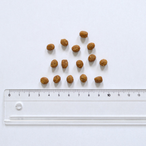 FORZA10（フォルツァディエチ）デイリープロ　アダルトミニ　ホース（小粒）