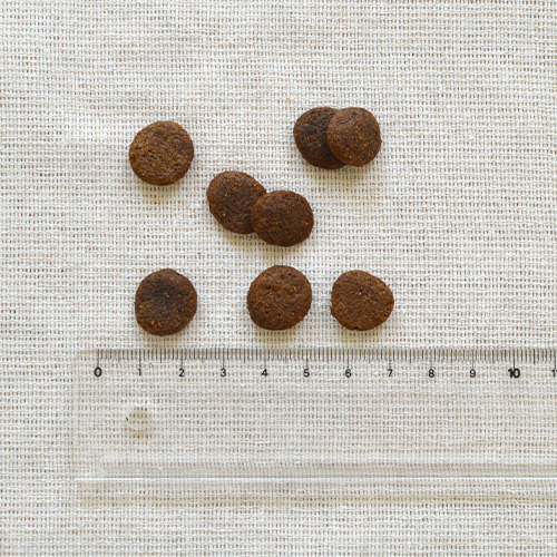 LUCY PET（ルーシーペット） 