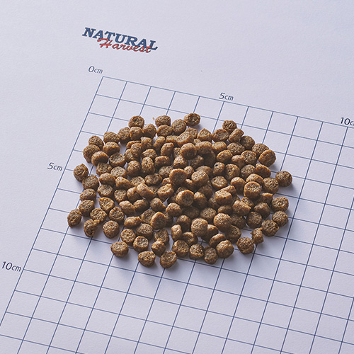 マイリトルダーリン