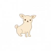 【2026年】【専門家が解説】チワワにぴったりなドッグフードおすすめ人気ランキング6選