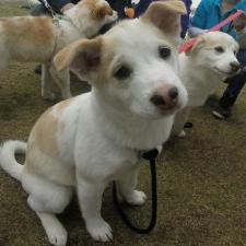 茜(セン)ちゃん