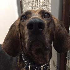 ソフィアちゃん