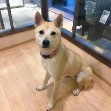 ミュールちゃん