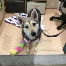 リイリ―ちゃん