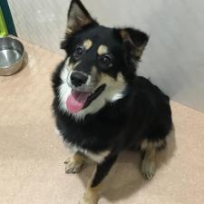 フォカッチャくん