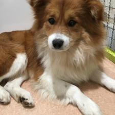 ジーナシスくん