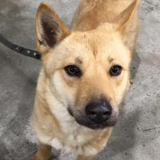 ファーイロちゃん