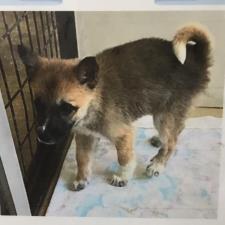 ウィンキーちゃん