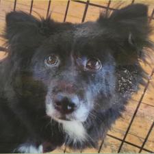 ブラウスちゃん