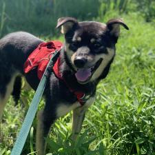 レッジーナちゃん