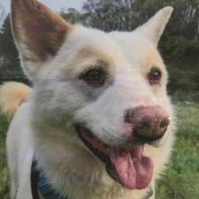 ジャーノちゃん