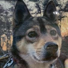 はるさめちゃん