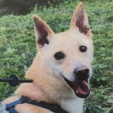 ベホマラーくん