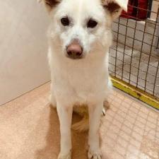 マリクシちゃん