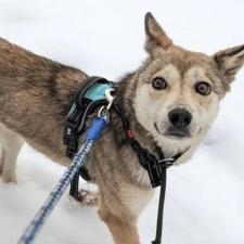 イチジクちゃん