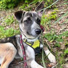 チェリーちゃん