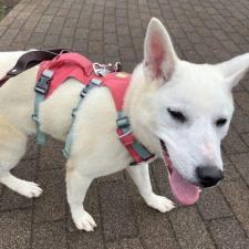 ウルティアちゃん