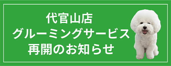 グルーミング再開のお知らせ