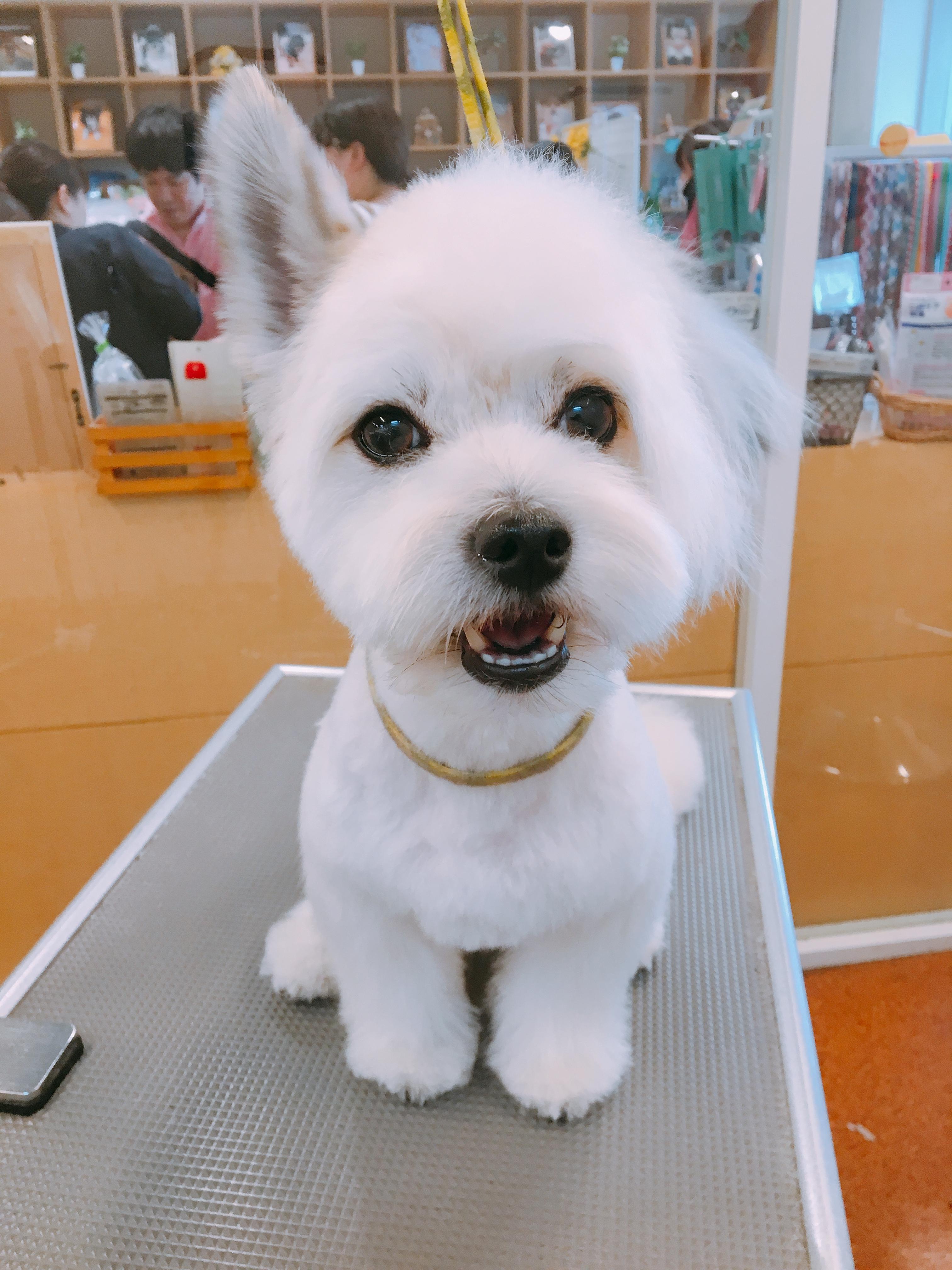 ミックス